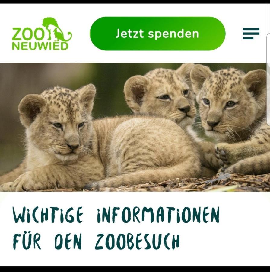 Fewo Mit Terasse Neuwied & Koblenz Luaran gambar